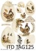 papel para scrapbooking TAG0125